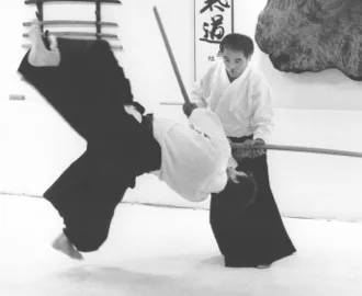 Aikido Seminar Nov 2015