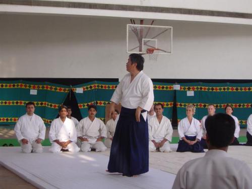 Aikido seminar 002