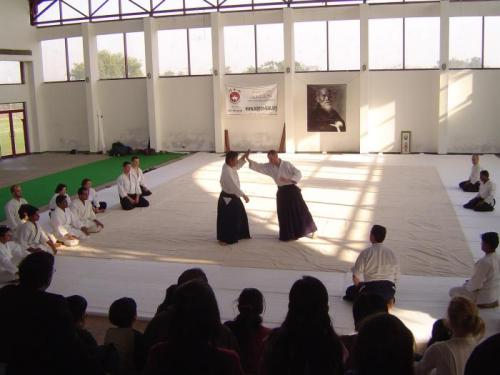 Aikido seminar 016