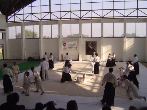 Aikido seminar 027
